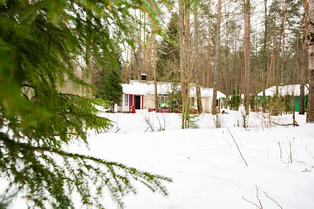 Коттедж Коттедж Уютная дача в литературной части — Санкт-Петербург