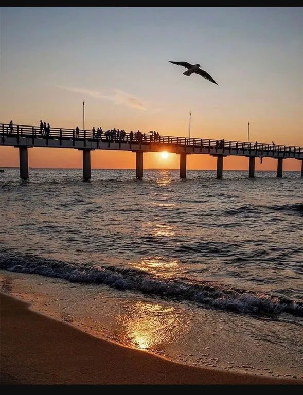 Апартаменты на море