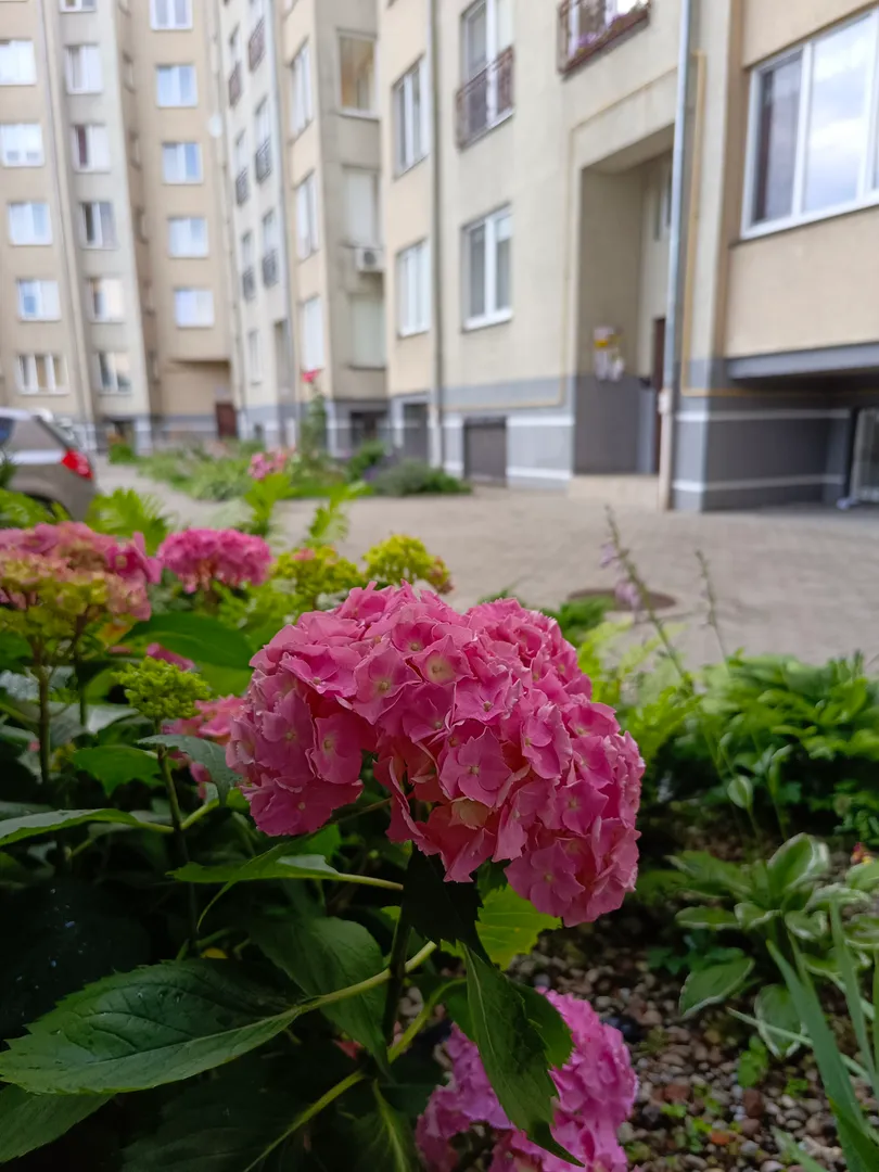 Фото