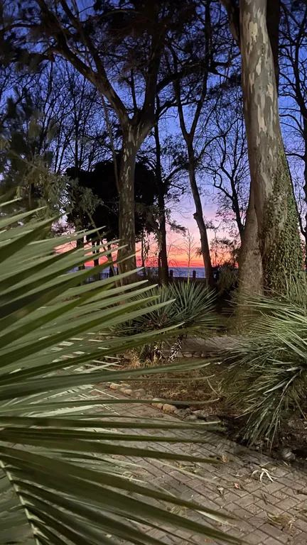 Апартаменты с видом на море