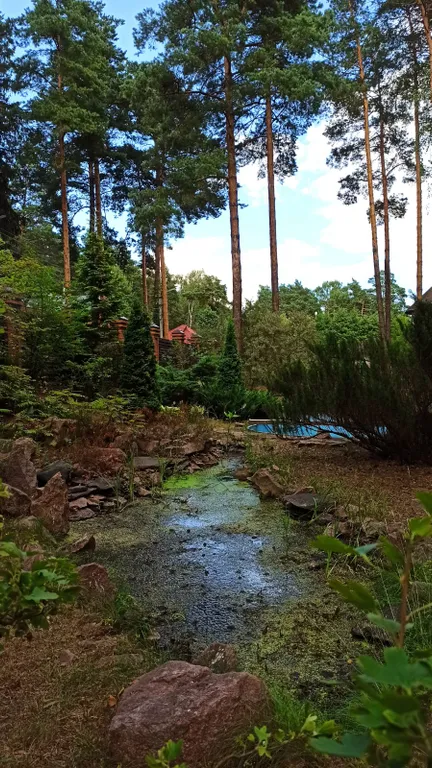 Коттедж Дом на участке 28 сот — Аборино