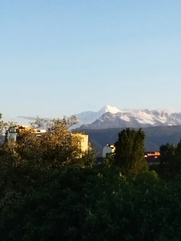 Топ Центр Парк на Набережной у Театра