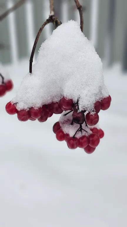 Уютный домик в стиле Прованс