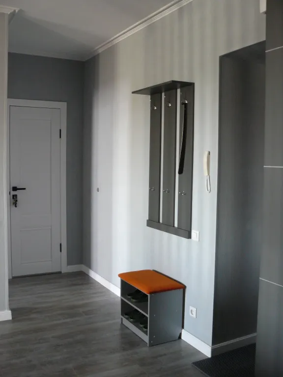 Рыжий Кот Дружный (просторная 2-ка с изолированной спальней)