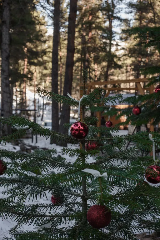 Коттедж Домики в лесу Миллениум — Архыз