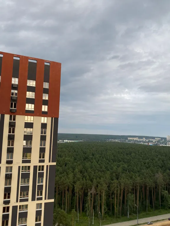 Квартира Новая квартира с видом на Сосновый бор — Екатеринбург
