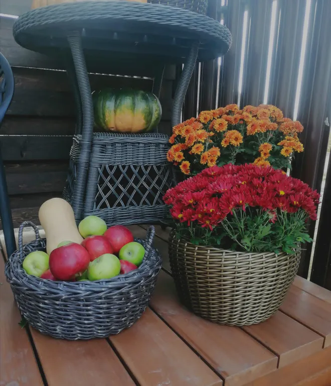 Коттедж в миндальной роще с бассейном