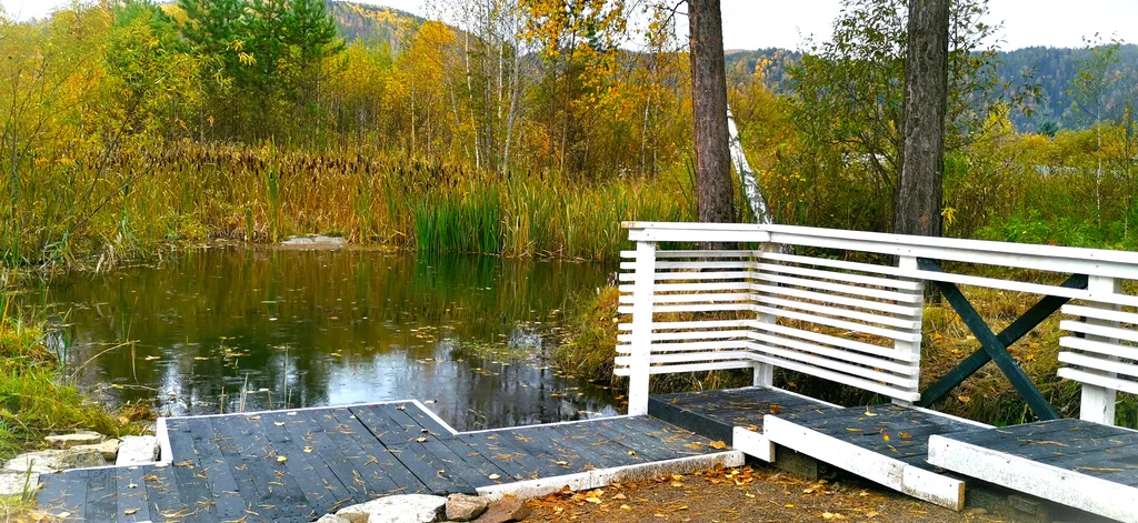 Дом с котом