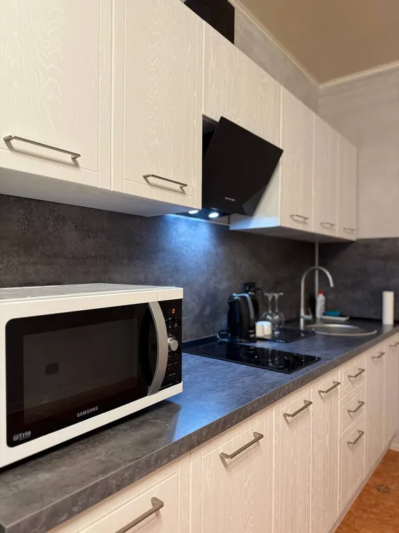 Современная квартира в самом центре города