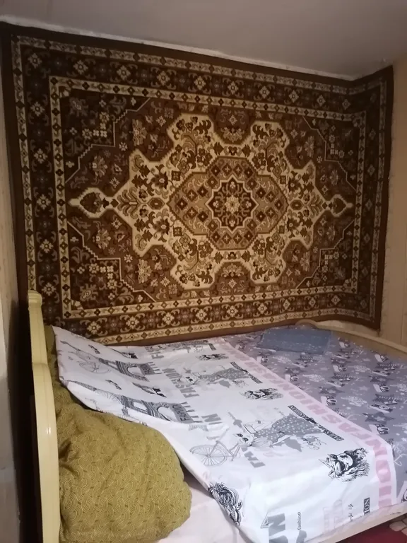 Квартира в центре города, возле парка