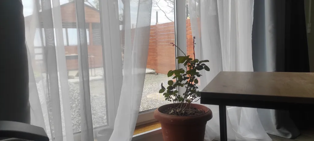 Уютный дом на берегу моря