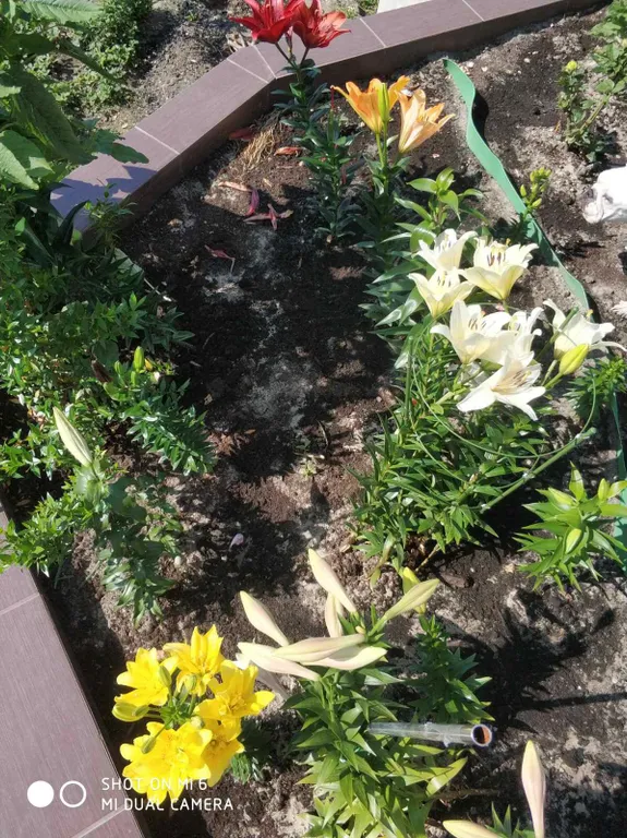 Апартаменты с видом на море и горы