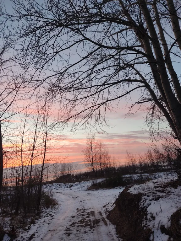 Апартаменты в соснах