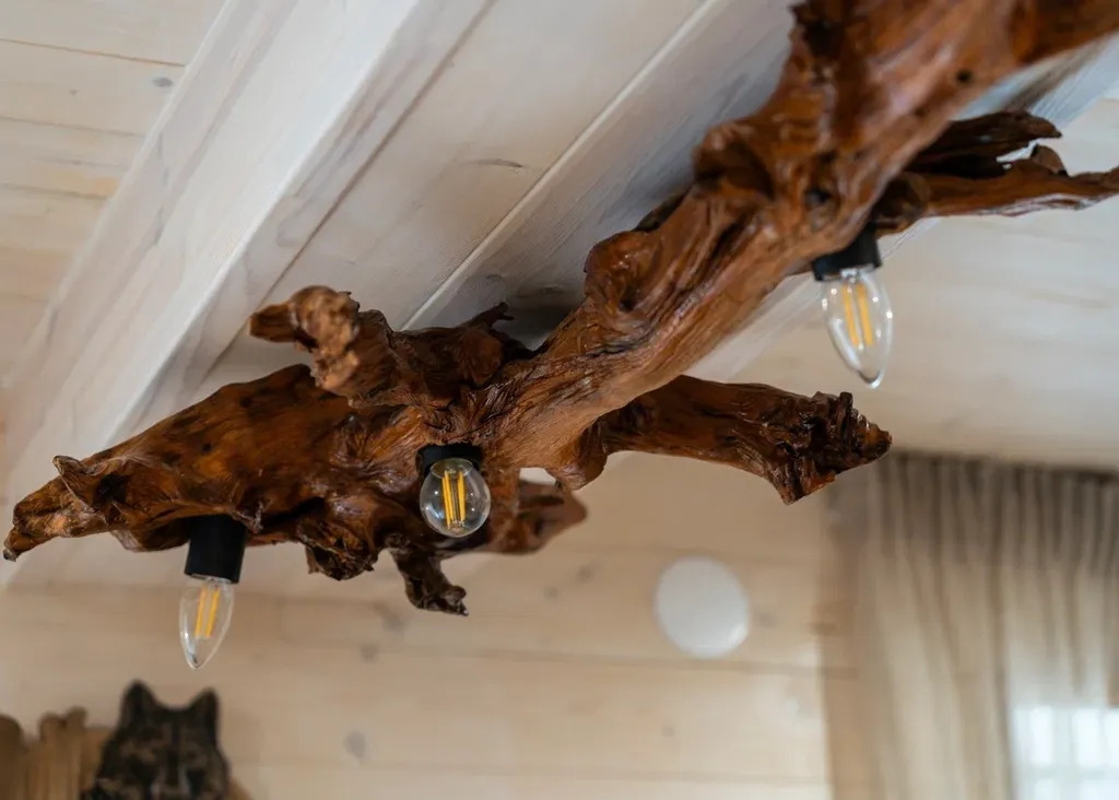 Дом-студия с баней в самом центре Беловежской пущи ( д. Ляцкие)