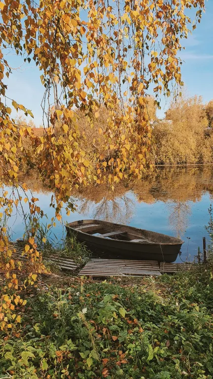 Чудо-дача, дом Акула на берегу пруда