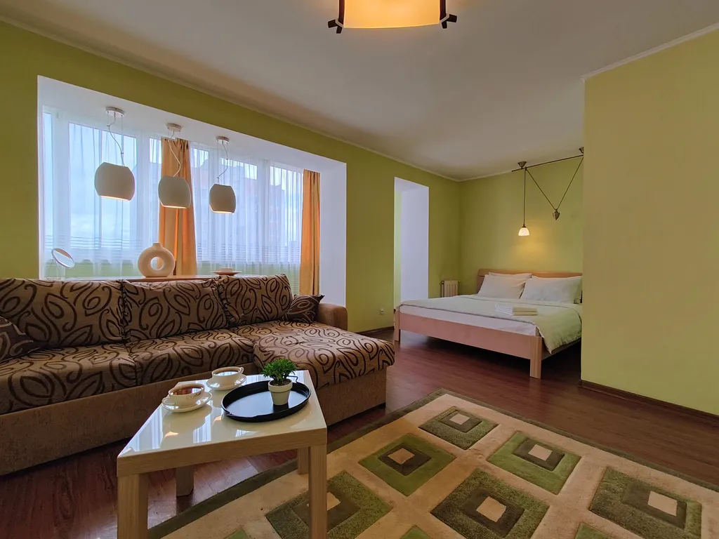 1-комнатная просторная в центре