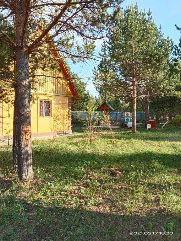 Дом в лесу у реки