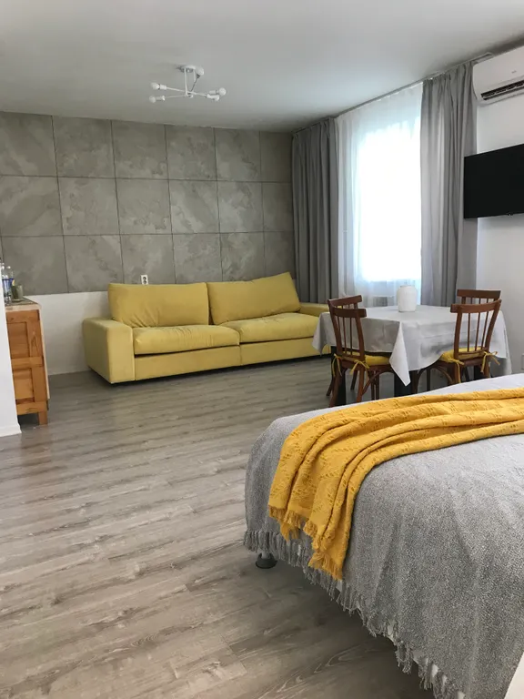 Большая светлая квартира-студия