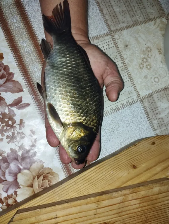 Домик у озера