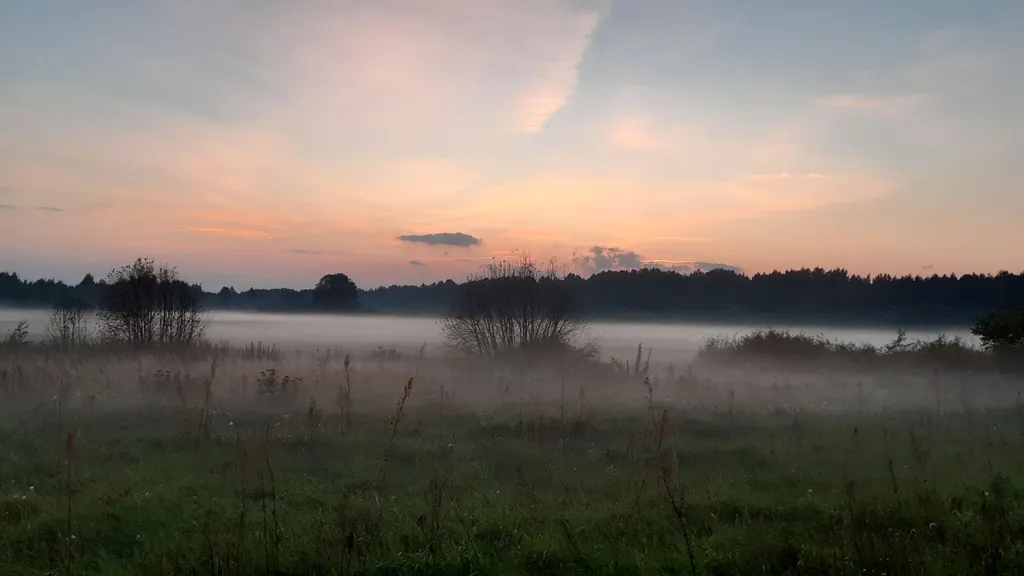 Дом в деревне