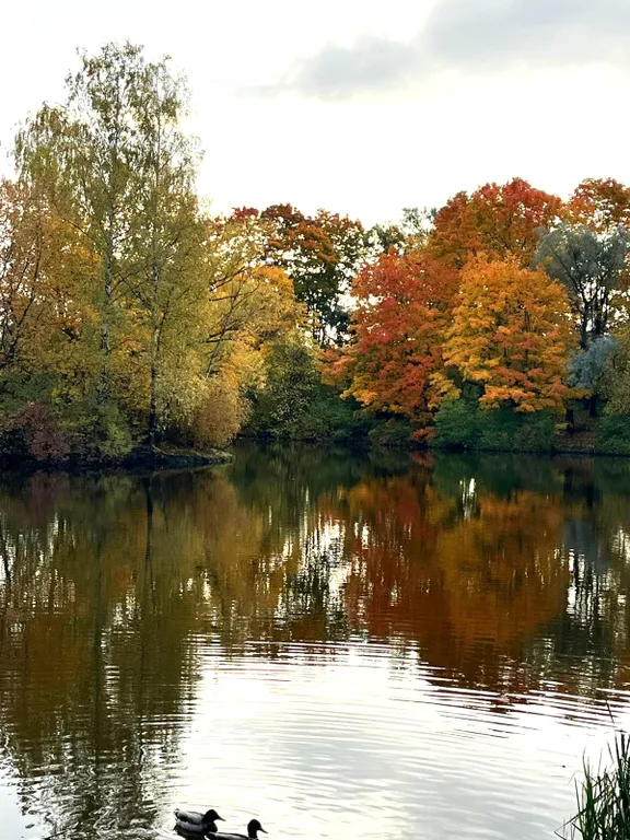 Квартира Квартира у моря - 1 — Санкт-Петербург