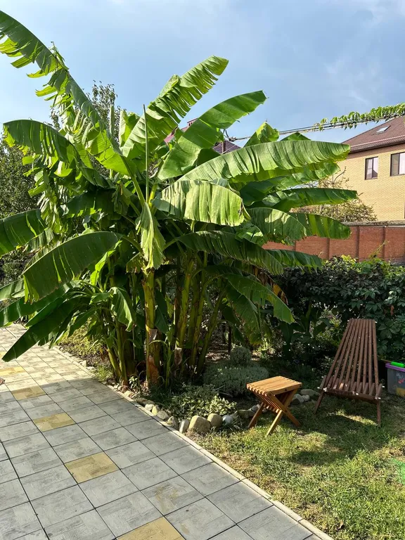 Коттедж Дом с беседкой для отдыха в частном секторе в городе анапа — Анапа