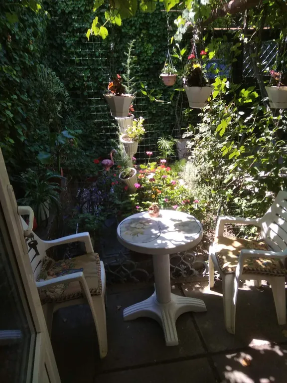 Комната в зелёном дворе