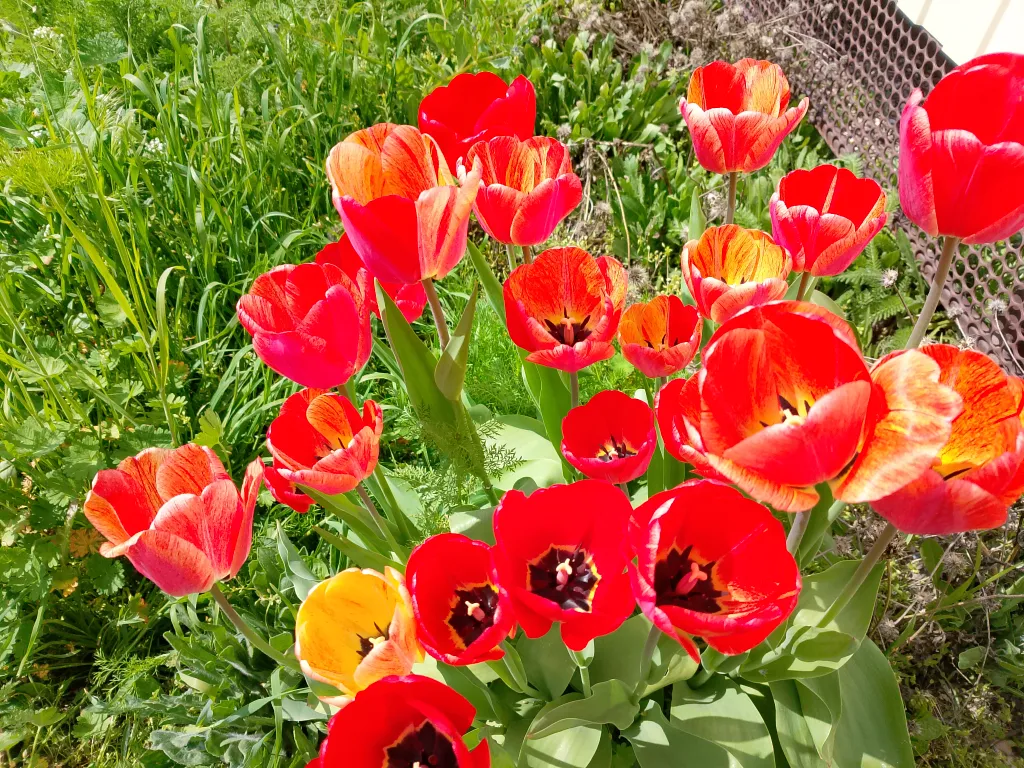 Гостевой дом У Тузика на 3-4 человека