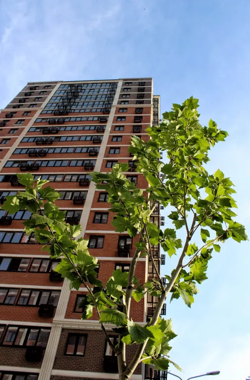 Студия Южный район ЖК Арена