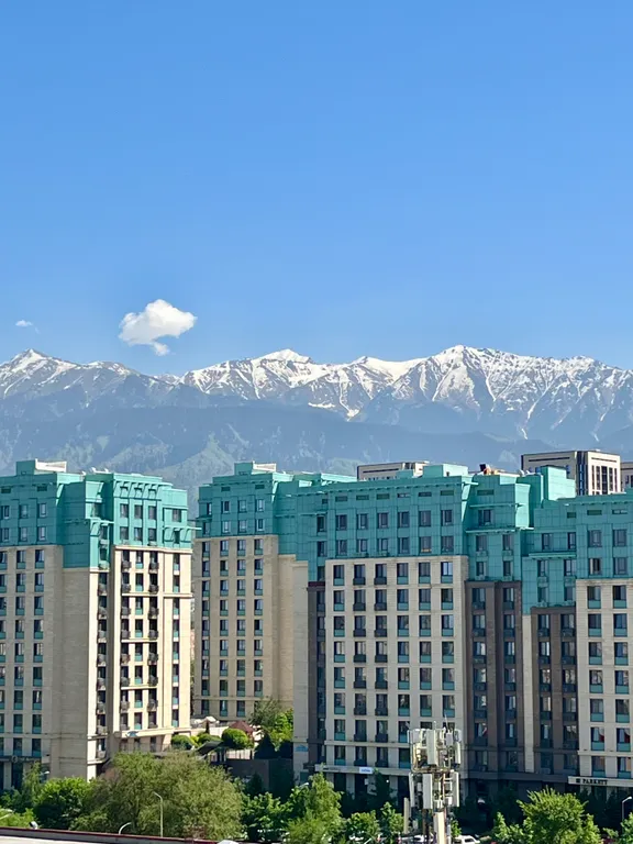 Квартира в современном жк amir