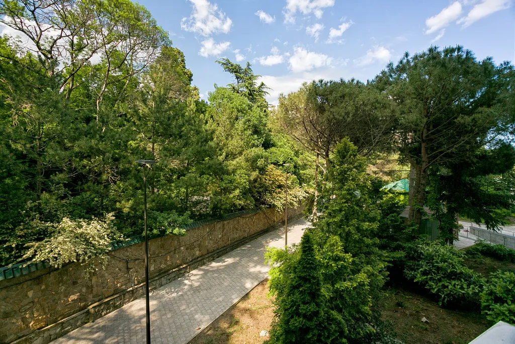 Гранатовый. На большую семью, вид на лес