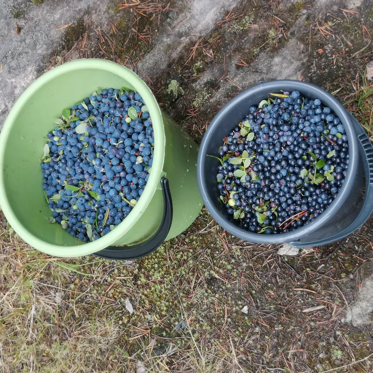 Отдых на Белом море