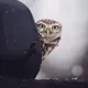 Иван