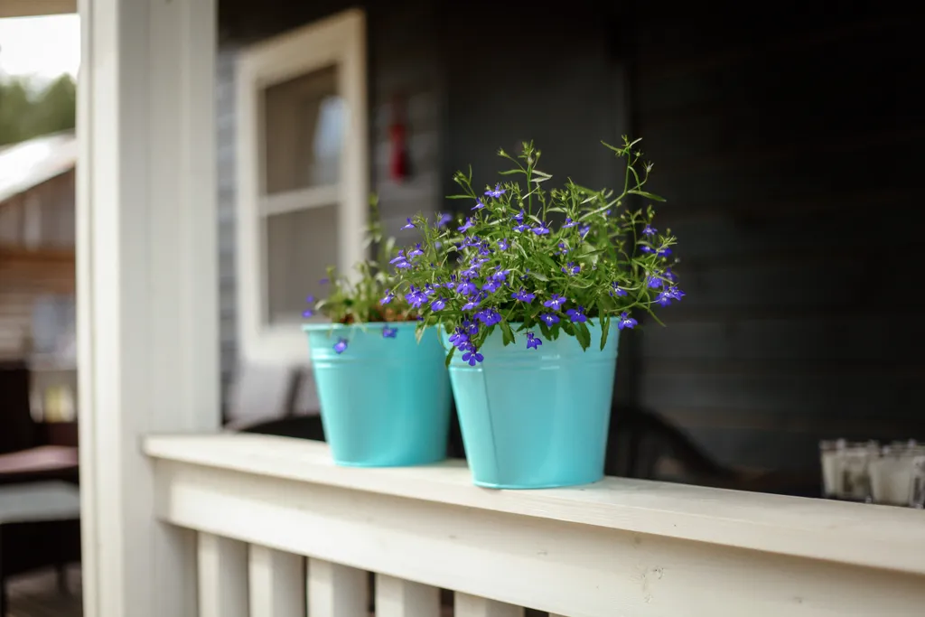 Милый домик у озера с баней