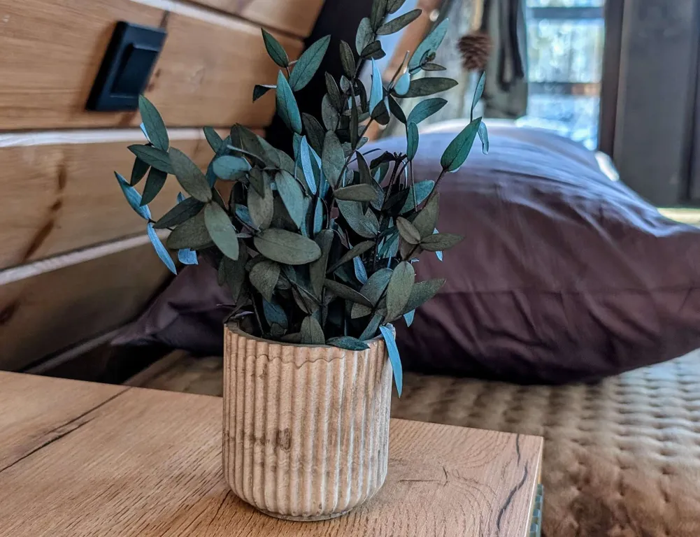 А-фрейм на нарочи видом на лес в 10 минутах ходьбы от пляжа