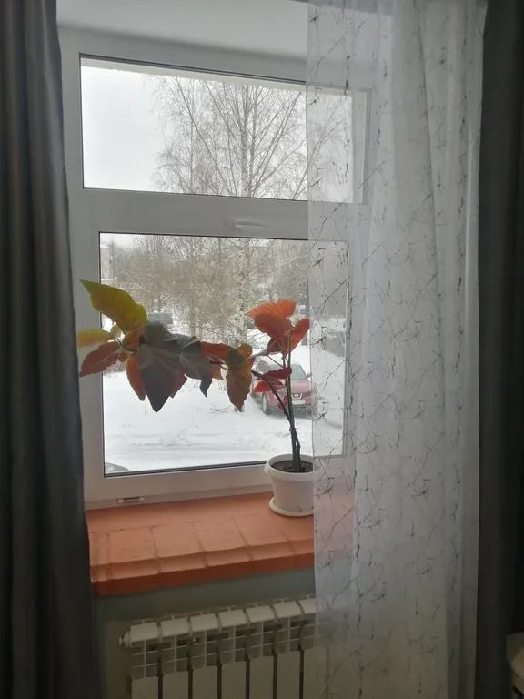 Студия в центре города