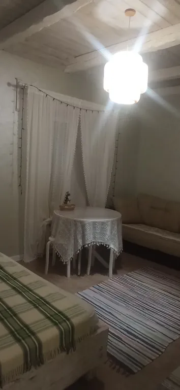 Студия Сканди Олива