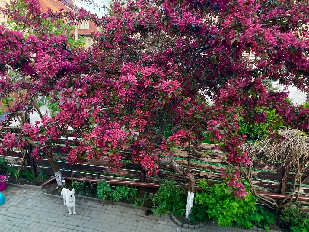 Коттедж Отдельный домик с террасой и зоной барбекю — Калининград