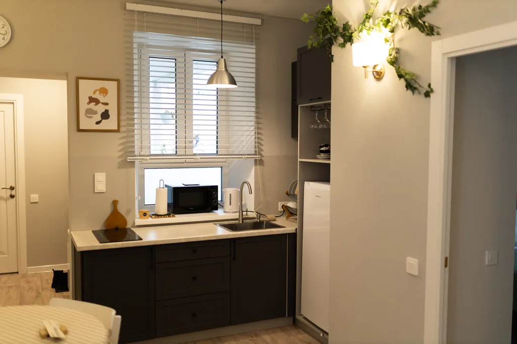 Апартаменты Дом с зелёной дверью