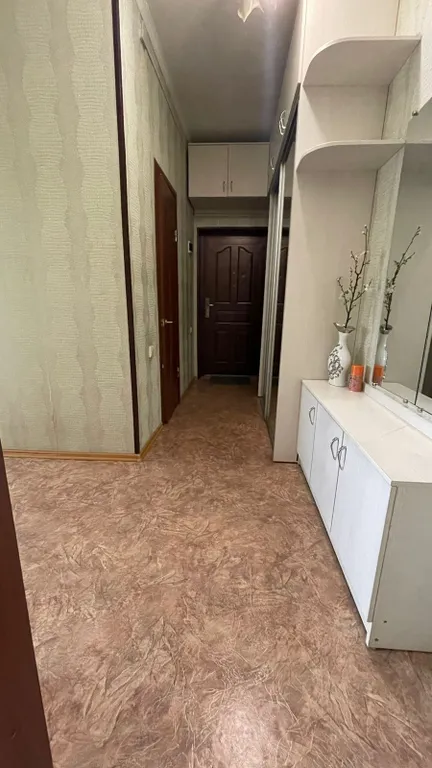 Просторная однокомнатная квартира