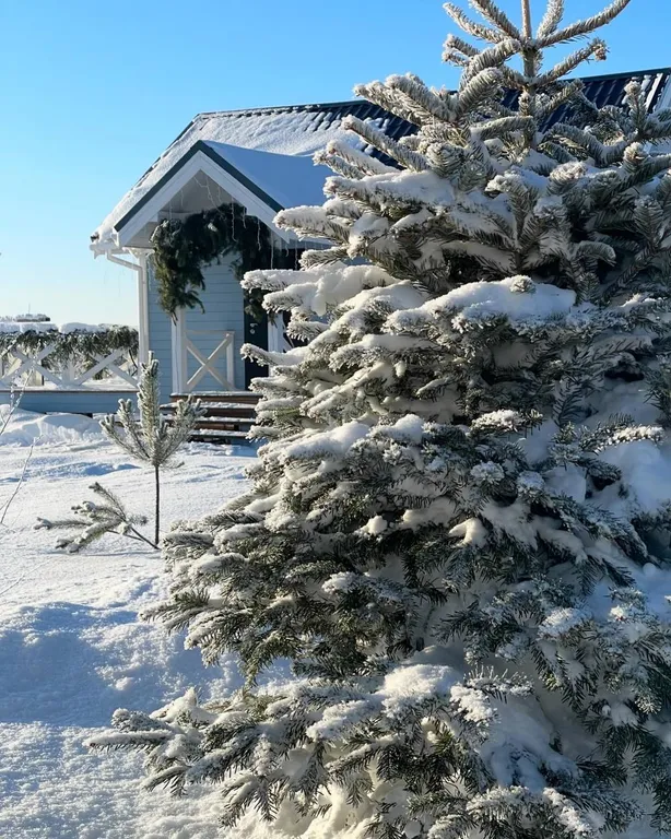 Загородный дом близ Суздаля Загородное пространство