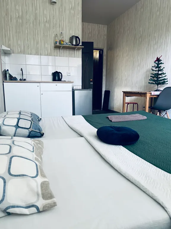 Уютная студия на ФМР