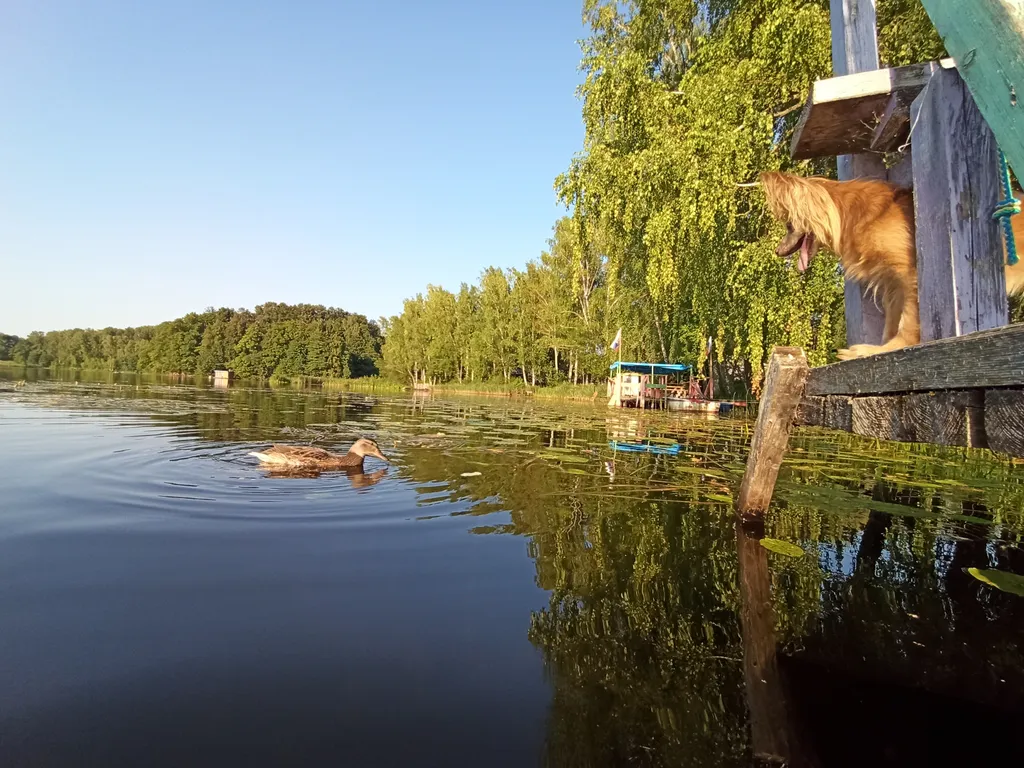 Гостевой дом Белькино 1.