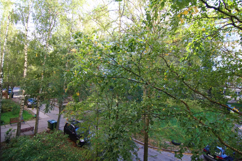 Трёхкомнатная квартира класса стандарт в спальном районе города