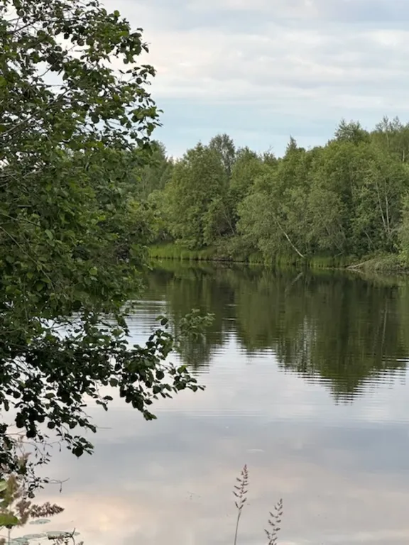 Коттедж Дом у реки с русской баней на дровах — Верховье