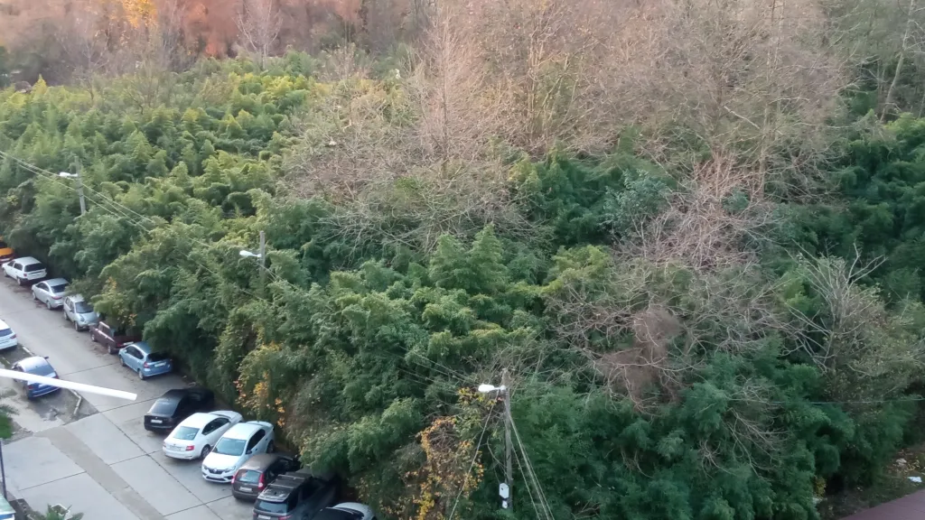 Сакура - 1 комнатная квартира с панорамным видом на море и горы