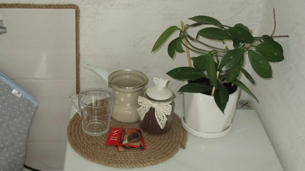 Вид на Петергоф