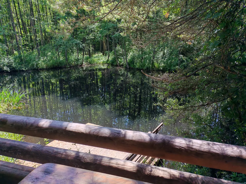 Хутор возле леса и озер