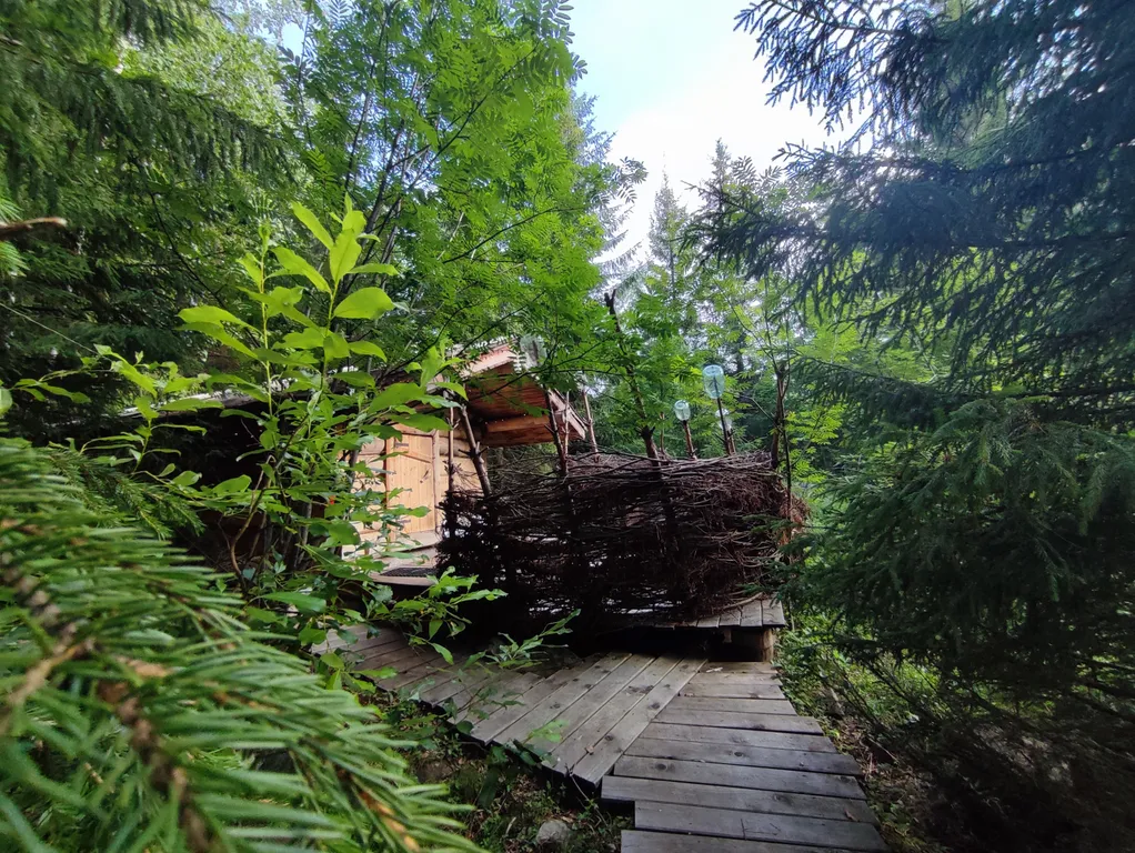 Дом Хоббита