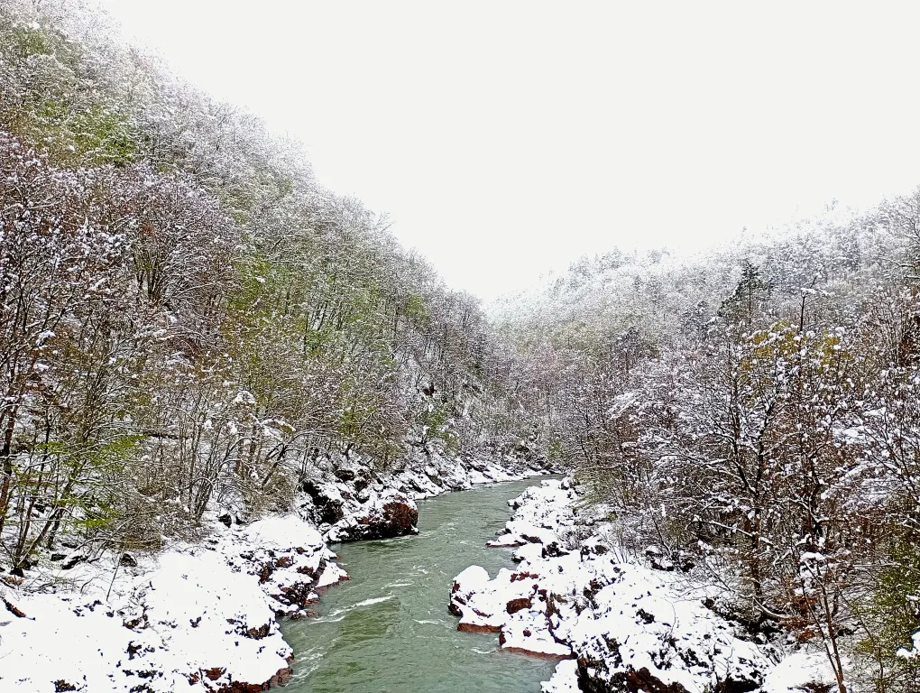 Шале с видом на лес и горы